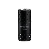 Magnum for Men (дез.) deo 250ml м